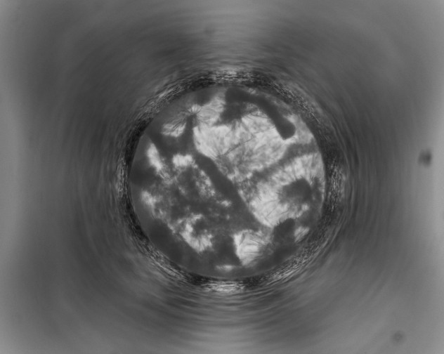 X0000097870659200804110925