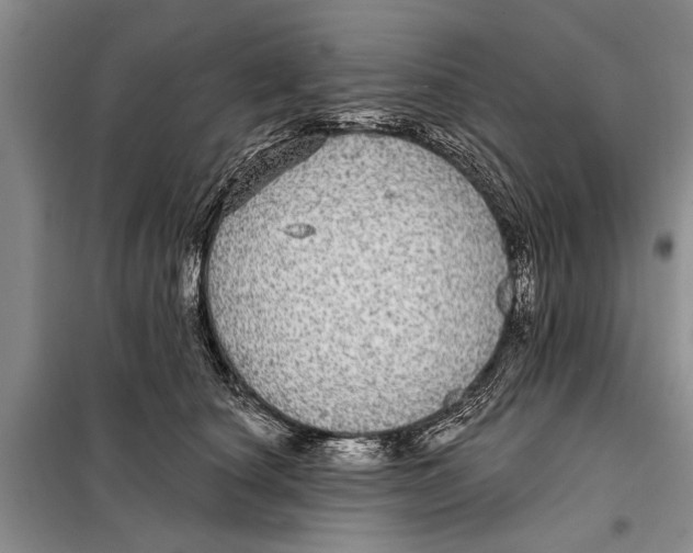 X0000097870660200804110925
