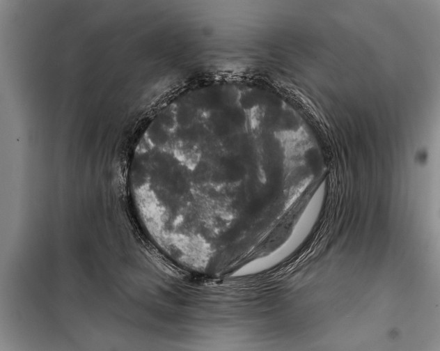 X0000097870661200804110925