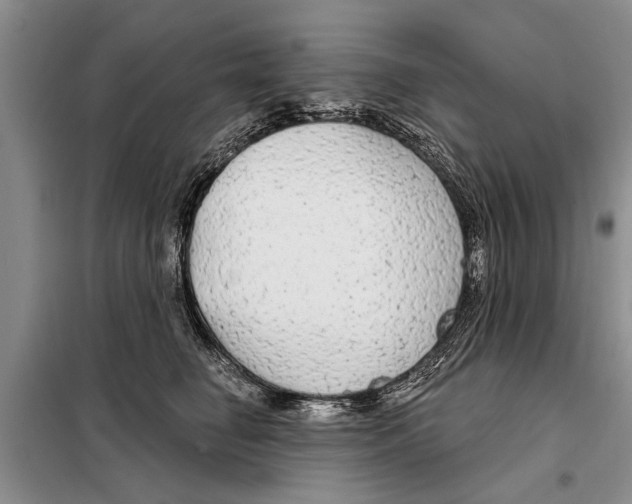 X0000097870662200804110925