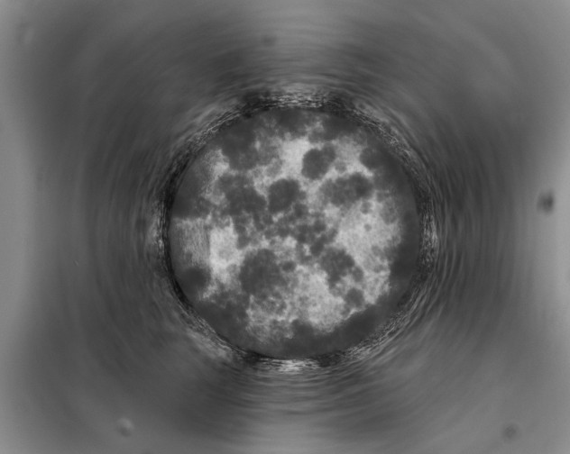 X0000097870663200804110925