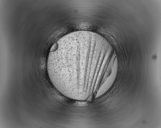 X0000097870665200804110925