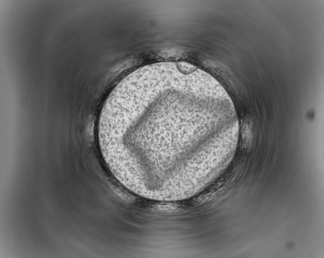 X0000097870668200804110925
