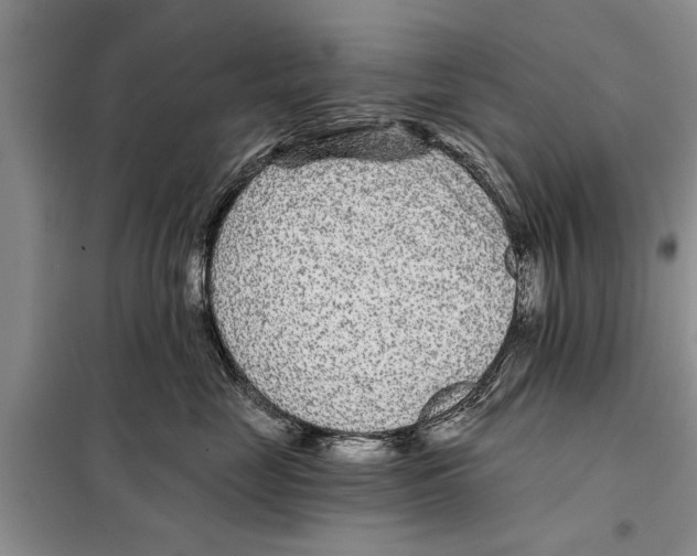 X0000097870669200804110925