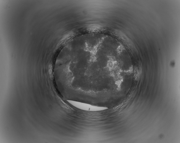 X0000097870670200804110925