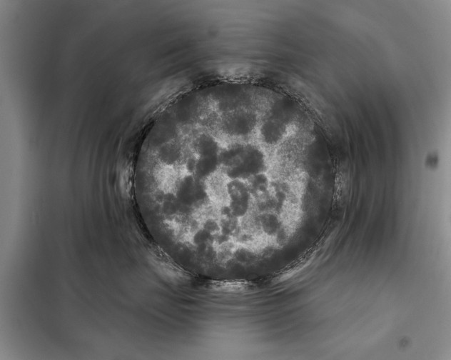 X0000097870671200804110925