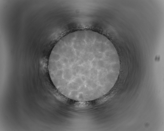 X0000097870672200804110925