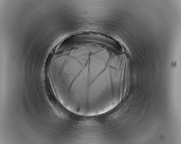 X0000097870674200804110924
