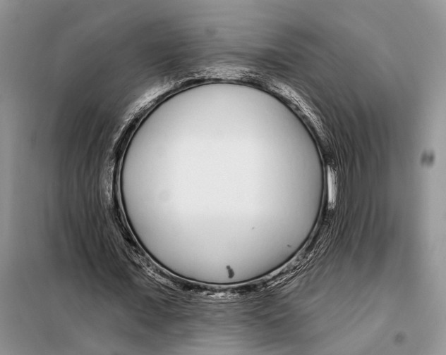 X0000097870675200804110924