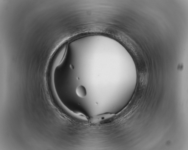 X0000097870676200804110924