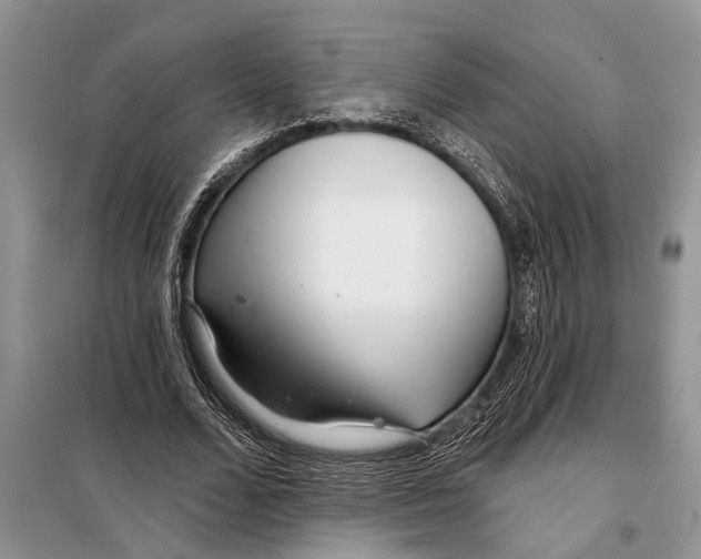 X0000097870680200804110924