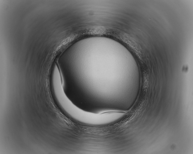 X0000097870681200804110924