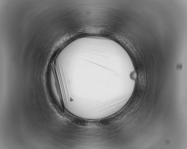 X0000097870682200804110924