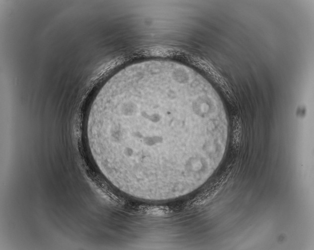 X0000097870683200804110924