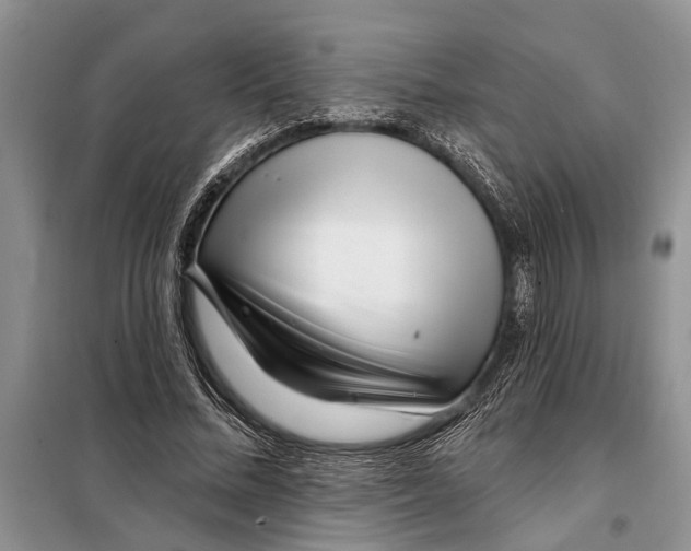 X0000097870684200804110924