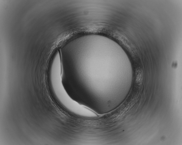 X0000097870685200804110924
