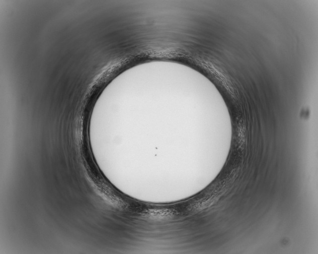 X0000097870686200804110924