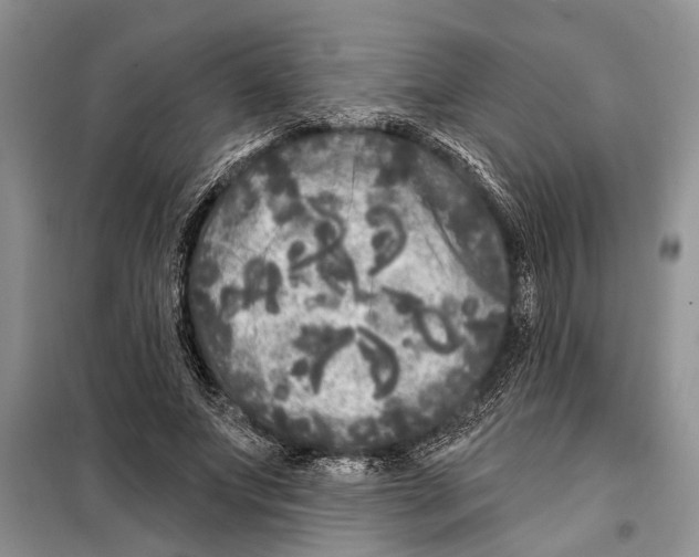 X0000097870687200804110924