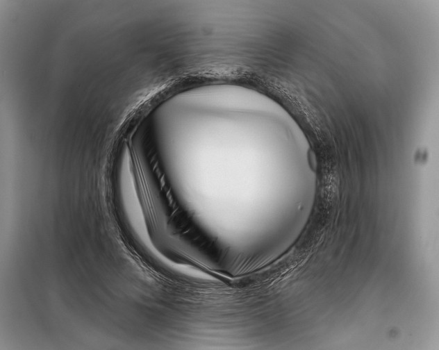X0000097870688200804110924