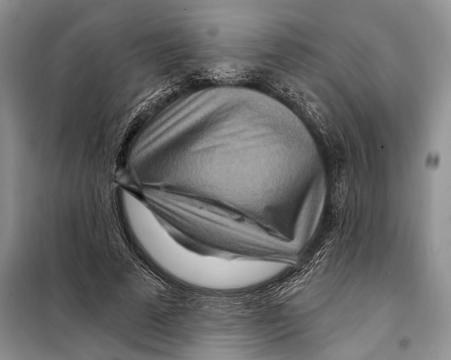 X0000097870689200804110924