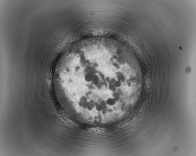 X0000097870691200804110924