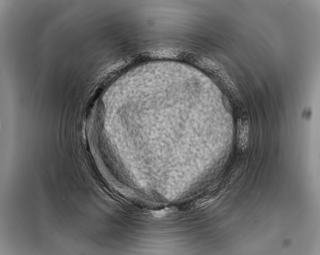 X0000097870692200804110924