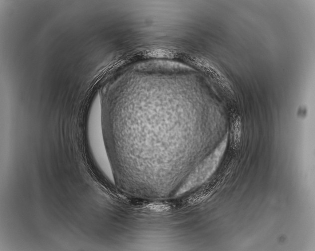 X0000097870696200804110924