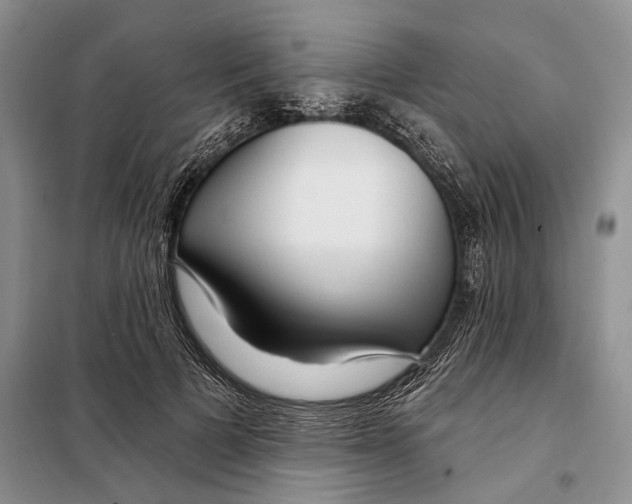 X0000097870697200804110924