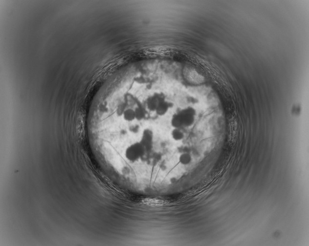 X0000097870699200804110924