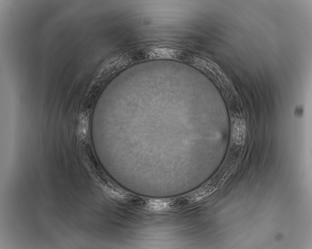 X0000097870701200804110924