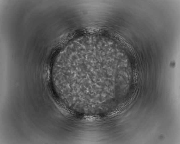 X0000097870703200804110924