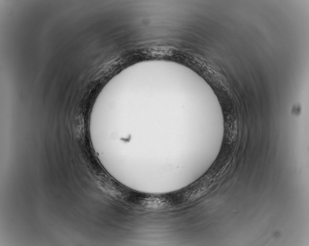 X0000097870704200804110924