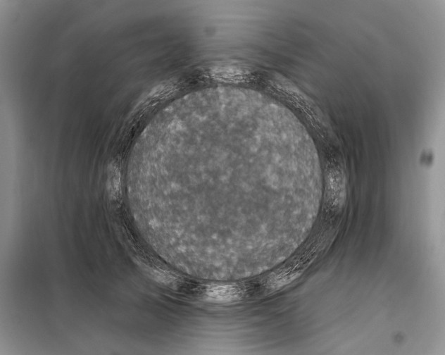 X0000097870705200804110924