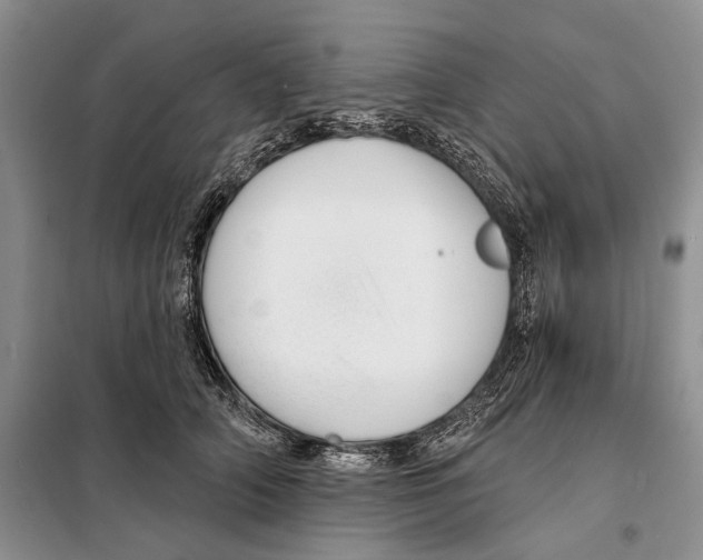 X0000097870706200804110924