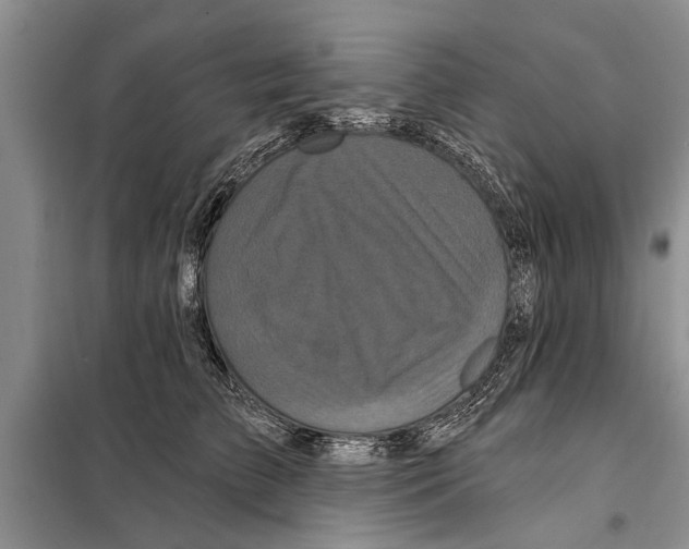 X0000097870709200804110924