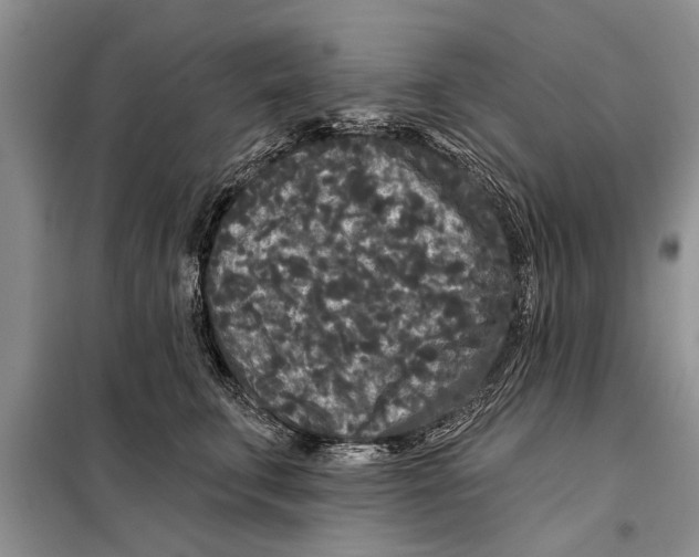 X0000097870711200804110924