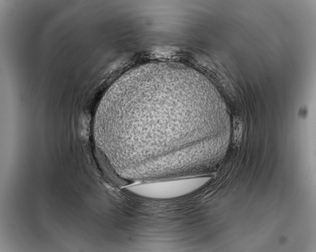 X0000097870712200804110924