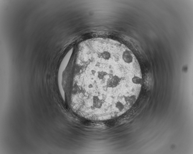 X0000097870715200804110924