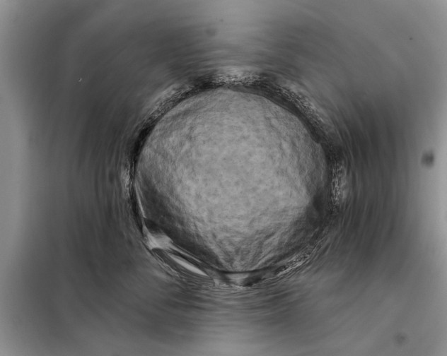 X0000097870716200804110924