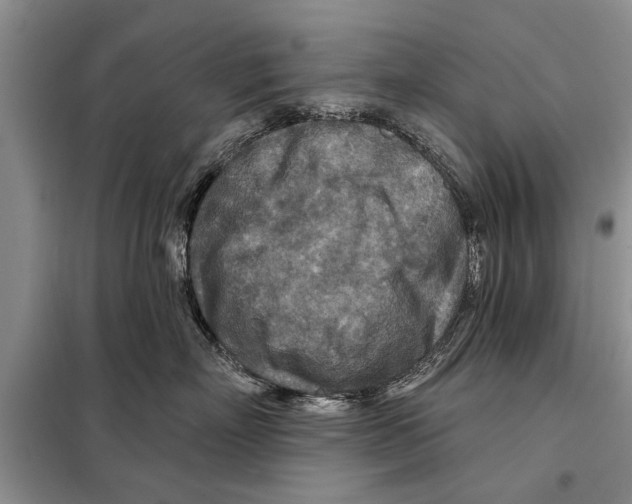 X0000097870718200804110924