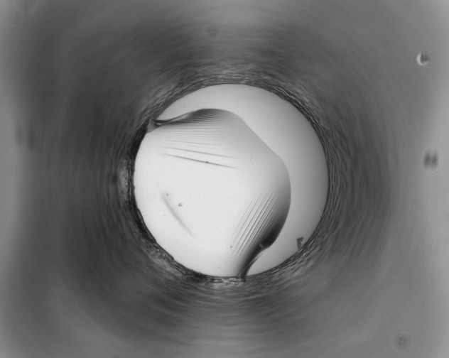 X0000097870720200804110924