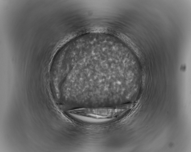 X0000097870721200804110923