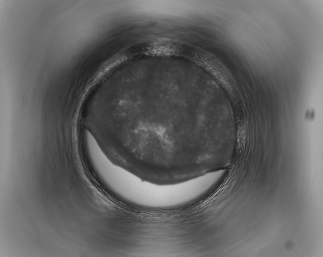 X0000097870722200804110923