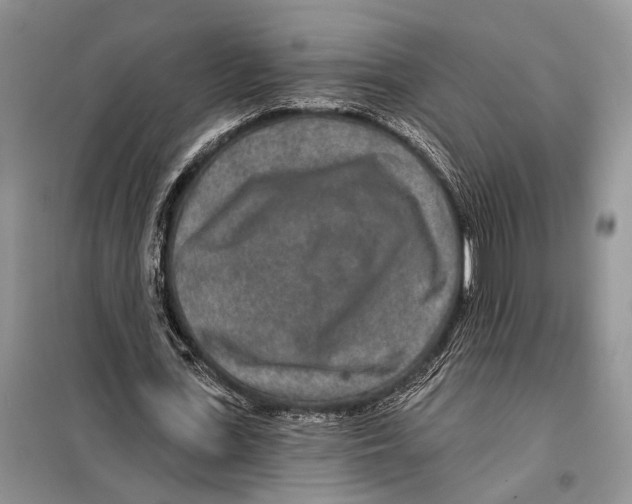 X0000097870723200804110923