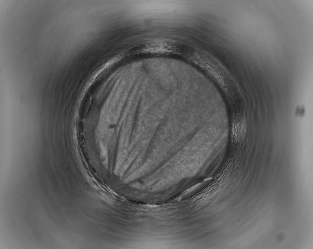 X0000097870724200804110923