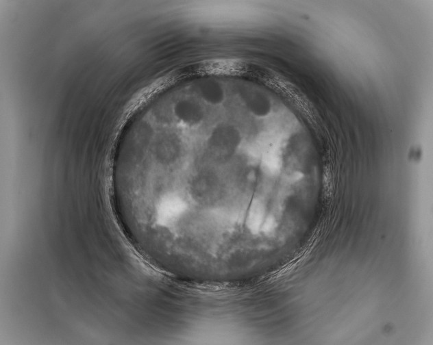 X0000097870725200804110923
