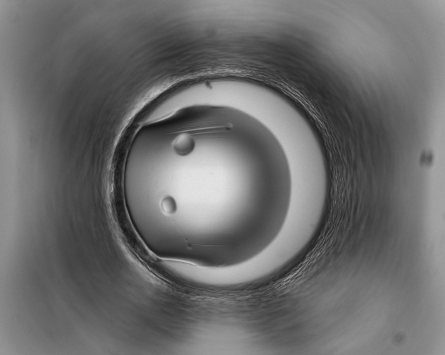 X0000097870726200804110923