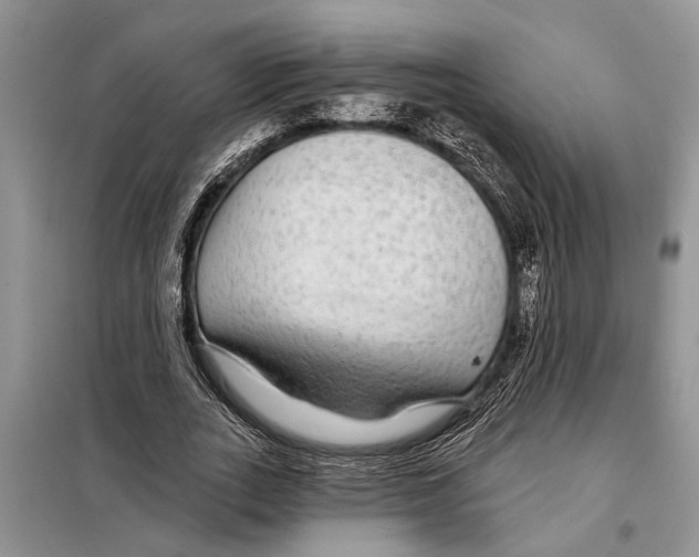 X0000097870727200804110923
