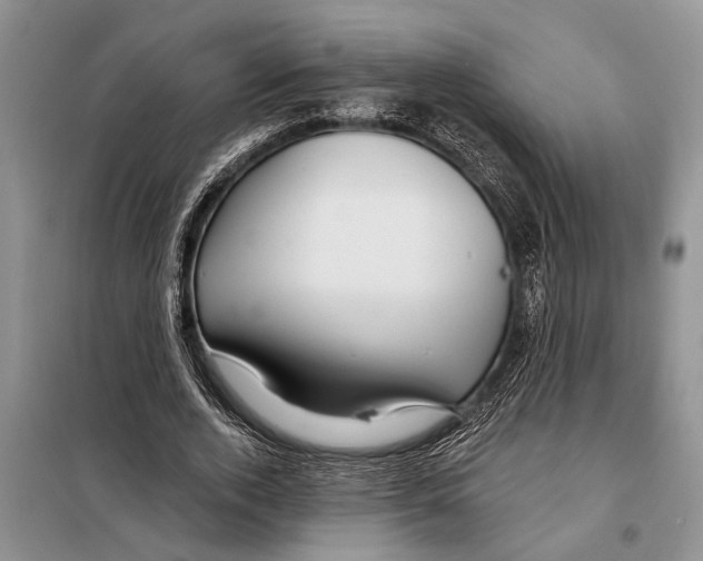 X0000097870728200804110923