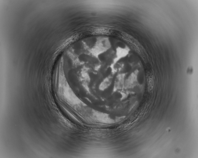 X0000097870729200804110923